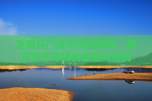 围绕芝麻开门法币交易限制探讨数字货币市场法币交易相关情况