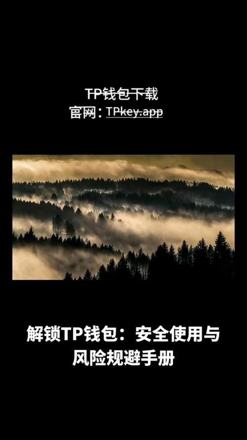 最新token钱包下载使用存安全漏洞，修复与更新要点请查收